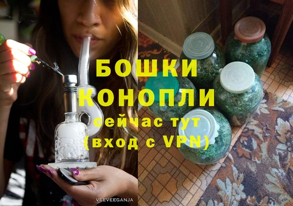шишки Майский
